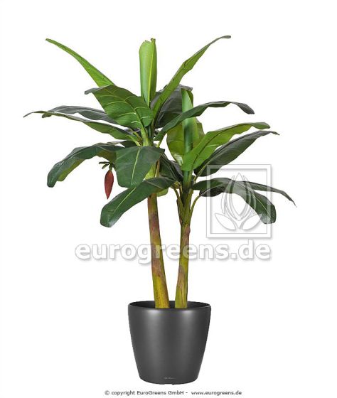 künstliche Bananen Pflanze Palme De Luxe 190cm