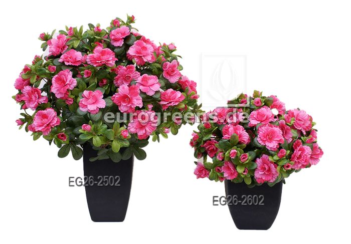künstliche Blühende Topfpflanze Belgium Azalee pink 25cm Vergleich 1