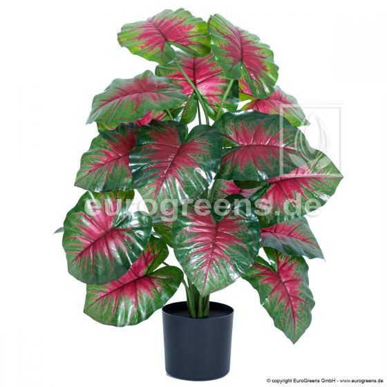 künstliche Caladium Pflanze 70 cm Rote Blätter
