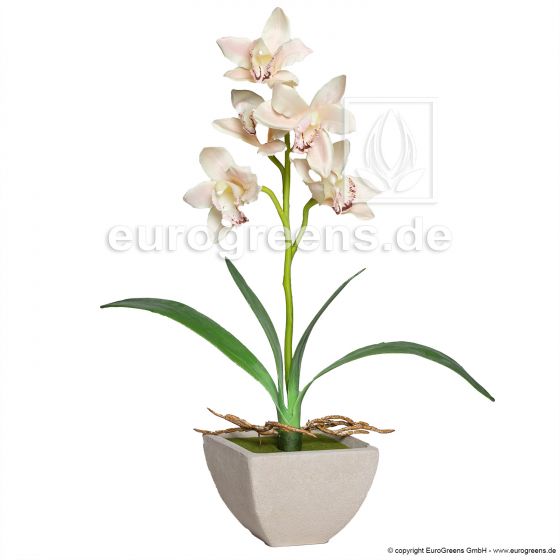 künstliche Cymbidium Orchidee 50cm Champagner Kunstblume
