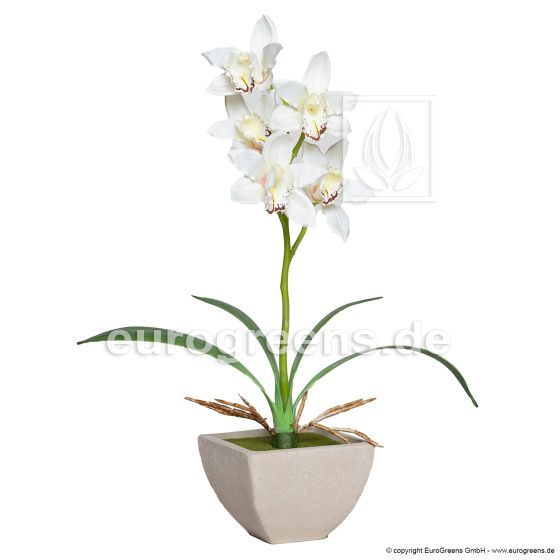 künstliche Cymbidium Orchidee 50cm creme Kunstblume 1