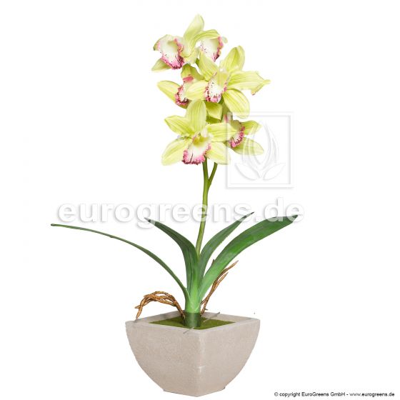 künstliche hellgrün Blühende Cymbidium Orchidee 50cm Kunstblume