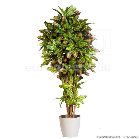 künstlicher Crotonbaum 150cm Übertopf 2023