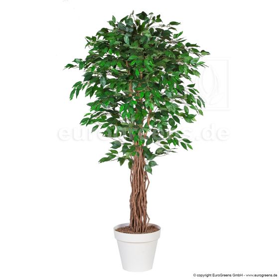 künstlicher Fat Ficus Liane 170 180cm Übertopf