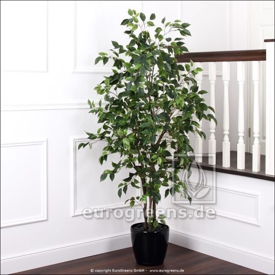 kuenstlicher Ficus Benjamini De Luxe 160 170cm