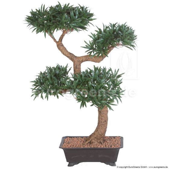 künstlicher Podocarpus Bonsai 65cm