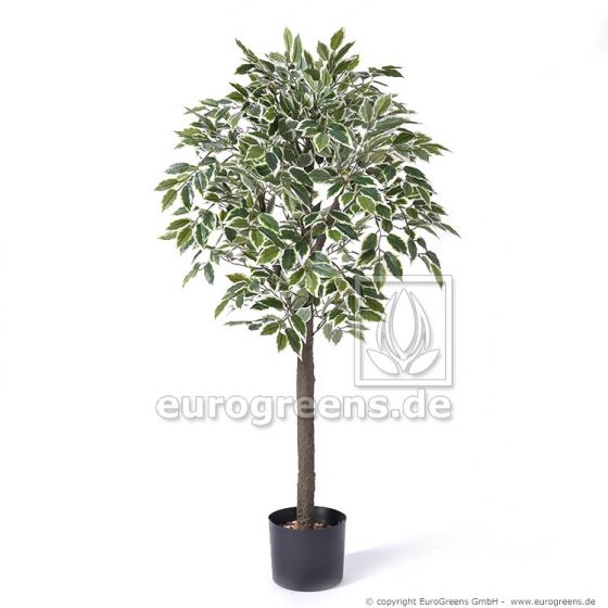 Kunstbaum Ficus Ega 30904