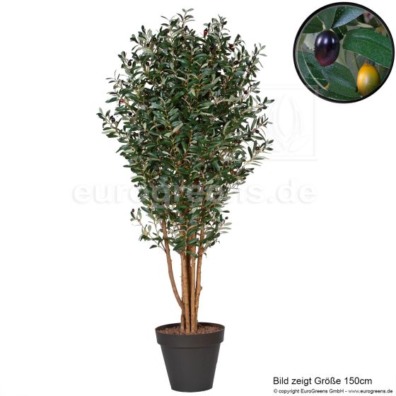 Kunstbaum Olivenbaum mit Früchten 120cm Übertopf mit Detail