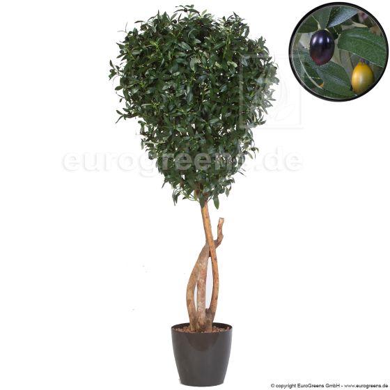 Kunstbaume künstlicher Olivenbaum De Luxe mit Früchten 145cm Detail