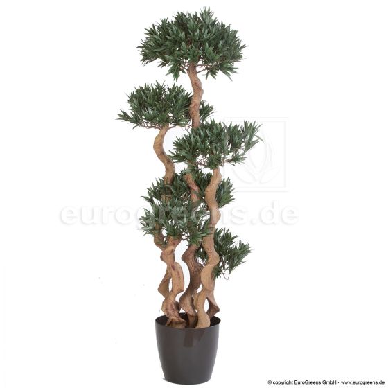 Kunstbonsai Crazy Podocarpus Bonsai 135cm Deko