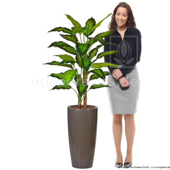 Kunstpflanze künstliche Dieffenbachia 100 110cm hoch Mensch