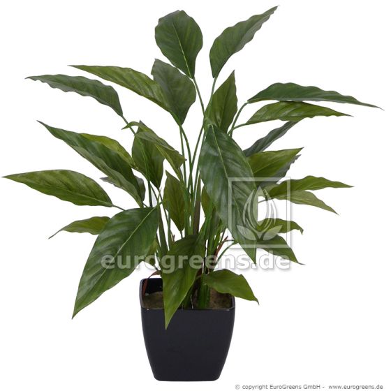 Kunstpflanze künstliche Spathiphyllum Pflanze ca. 50cm