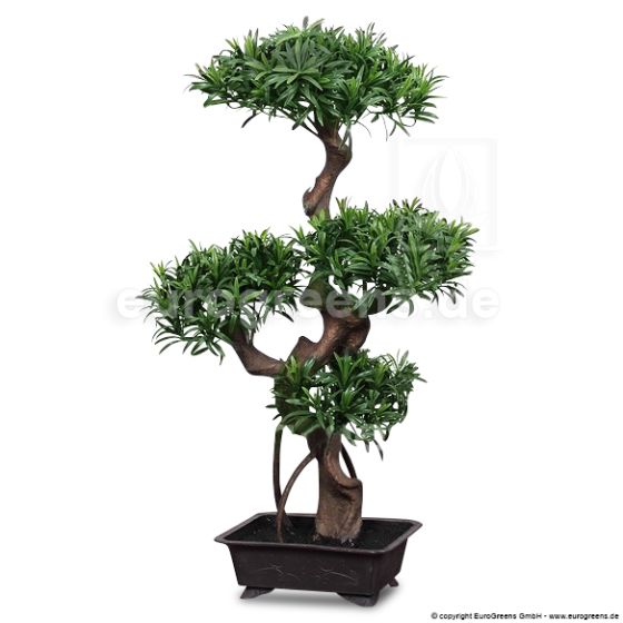 Kunstpflanze künstlicher Podocarpus Bonsai 90cm