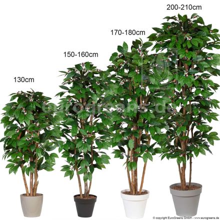 Kunstpflanze Kaffeebaum ca. 130cm 