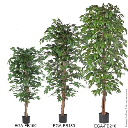 Kunstpflanze Ficus Benjamini grün ca. 170-180cm