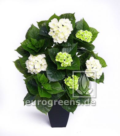 Kunstpflanze Hortensie Deluxe grün/weiß blühend ca. 80cm