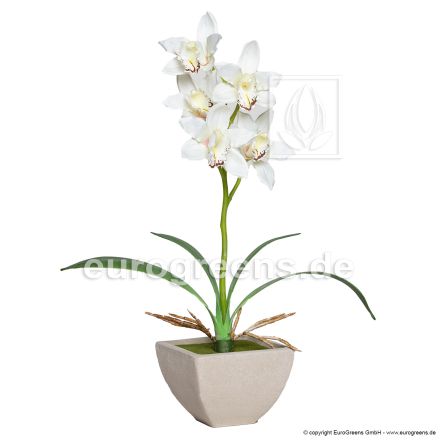 künstliche cremefarbene Cymbidium Orchidee ca. 50cm