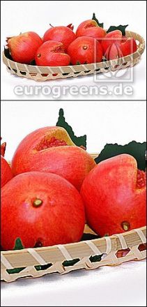 künstliche Granatapfel rot
