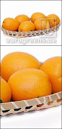 künstliche Orange