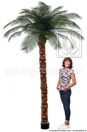 Kunstpflanze Phönixpalme ca. 300-325cm