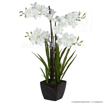 künstliche creme-weiße Orchidee in schwarzem Melamintopf ca. 70cm