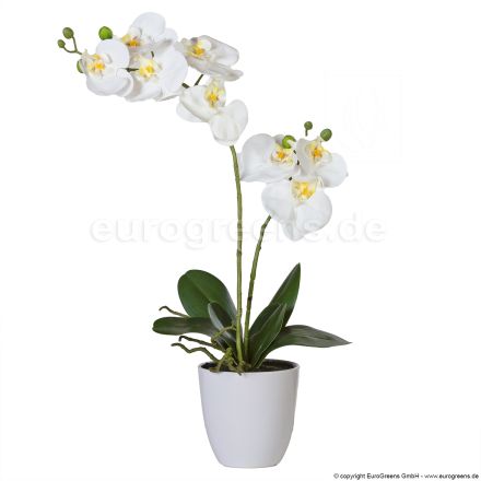 künstliche creme-weiße Orchidee in weißem Melamintopf ca. 60cm