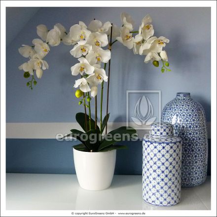 künstliche weiß creme Phalaenopsis Orchidee