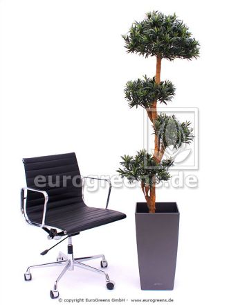 Kunstpflanze Steineibe Podocarpus Riesenbonsai ca. 180cm