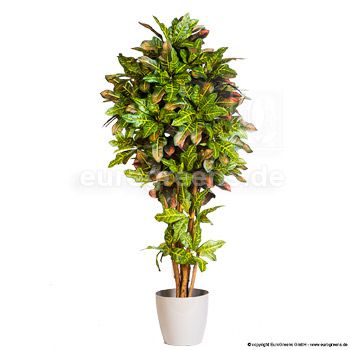 Kunstpflanze Crotonbaum DLX  ca. 150 cm