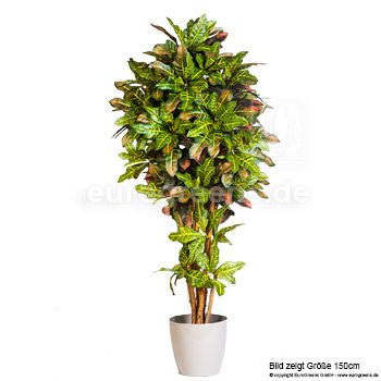 Kunstpflanze Crotonbaum DLX 190cm