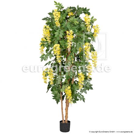 Kunstpflanze Goldregen DeLuxe ca. 170-180cm - zitronengelb