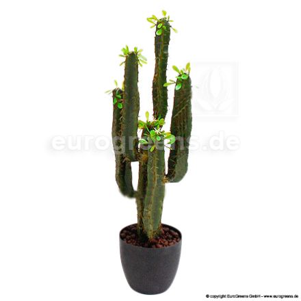 künstliche Euphorbia Trigona ca. 75cm