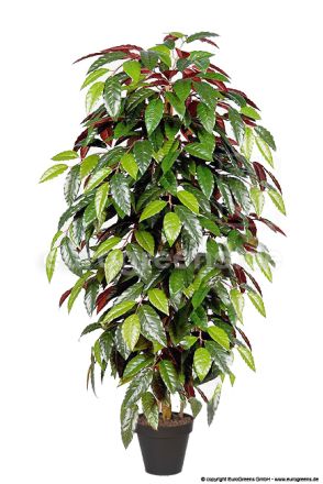 Kunstpflanze Capensia ca. 210cm