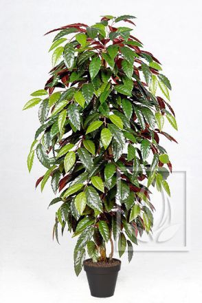 Kunstpflanze Capensia ca. 210cm