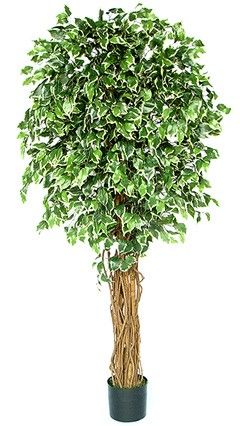 Kunstpflanze Fat-Ficus Exotica Liane ca. 180cm - 2. Wahl 
