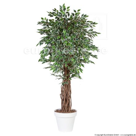 Kunstpflanze Ficus Liane Miniblatt de Luxe grün/creme 140cm