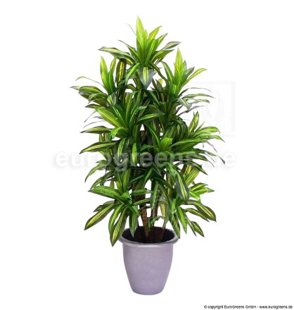 Kunstpflanze Dracaena Massangeana ca. 160cm