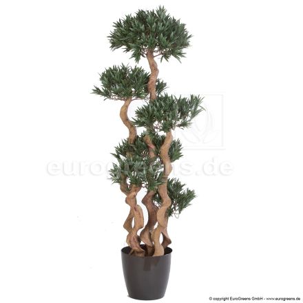 Kunstpflanze Crazy-Podocarpus Bonsai ca. 135cm