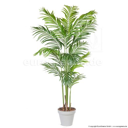 Kunstpflanze Kentiapalme ca. 170cm mit echter Palmenfaser