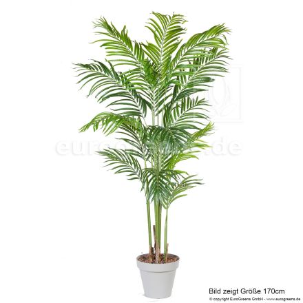 Kunstpflanze Kentiapalme ca. 200cm mit echter Palmenfaser