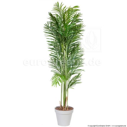 Kunstpflanze Kentiapalme ca. 190cm mit echter Palmenfaser