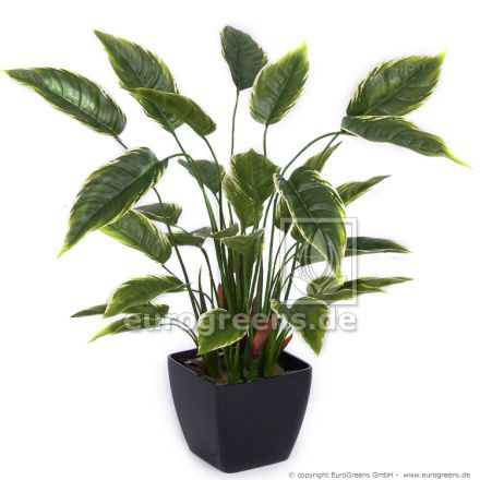 künstliche Hosta Pflanze ca. 50cm im Topf