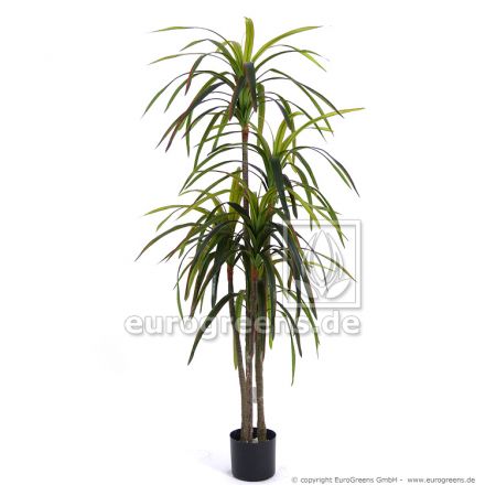 Kunstpflanze Dracaena Marginata ca. 155cm