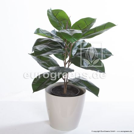 Kunstpflanze Gummibaum ca. 50cm