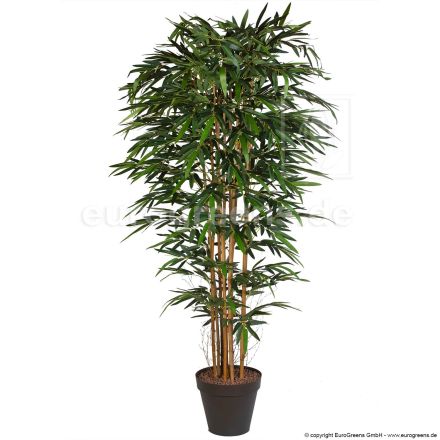 künstlicher Jade Bambus ca. 210cm