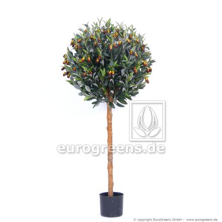 Olivenkugelbaum mit Früchten ca. 120cm