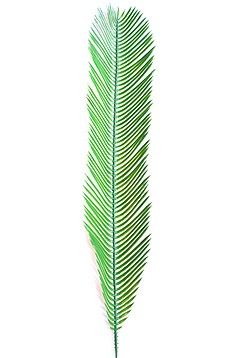 Plastik Cycas Palmenwedel ca.  70cm lang