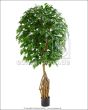 Kunstbaum künstlicher Mangroven Ficus ca. 160 170cm