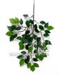 künstlicher Mini Ficus Bonsai Zweig grün 40cm 1