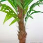 künstliche Borneo Palme 150 160cm Stamm